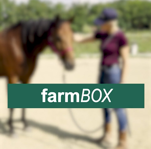 Impressionen von Julia Schütze