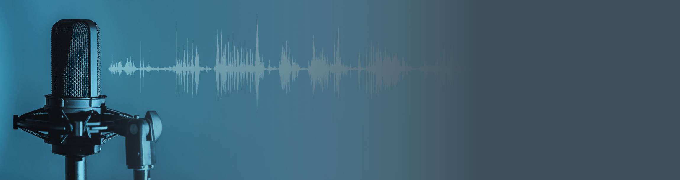 Podcasterin: Julia Schütze-Pferdepodcast