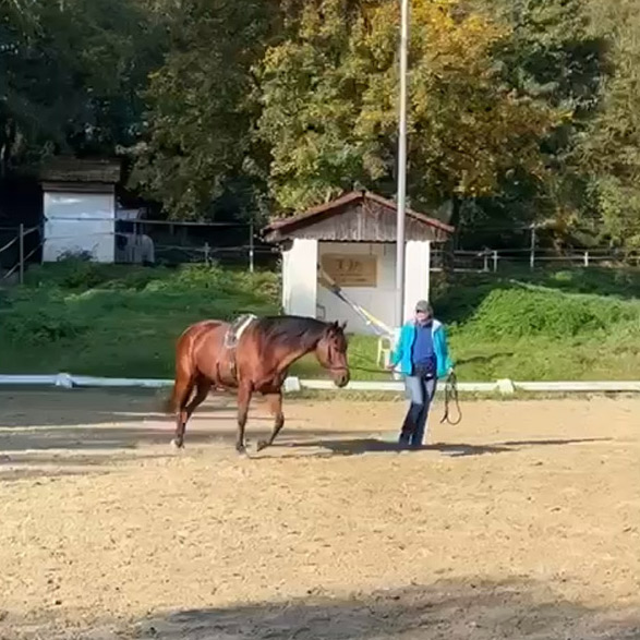 Impressionen von Julia Schütze