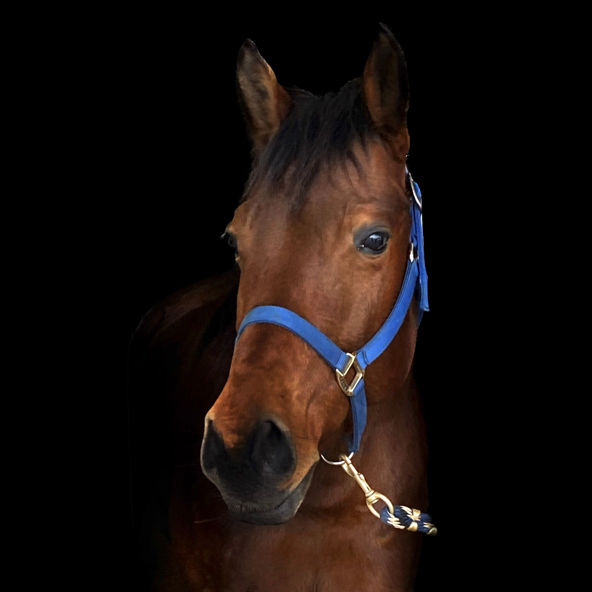 Julia Schütze, Moderatorin, Journalistin, Podcasterin, St. Pölten, Österreich